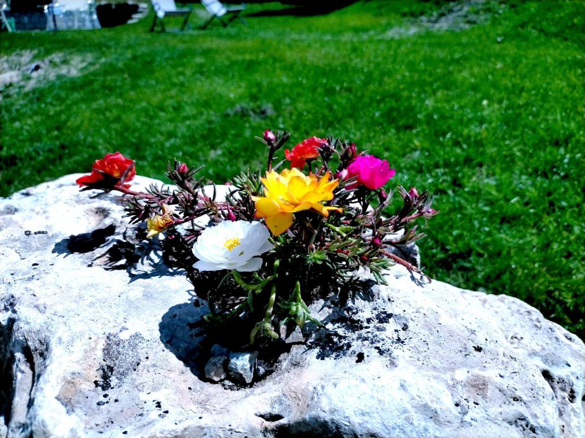 Hotel Flora Alpina Gressoney-Saint-Jean Eksteriør bilde
