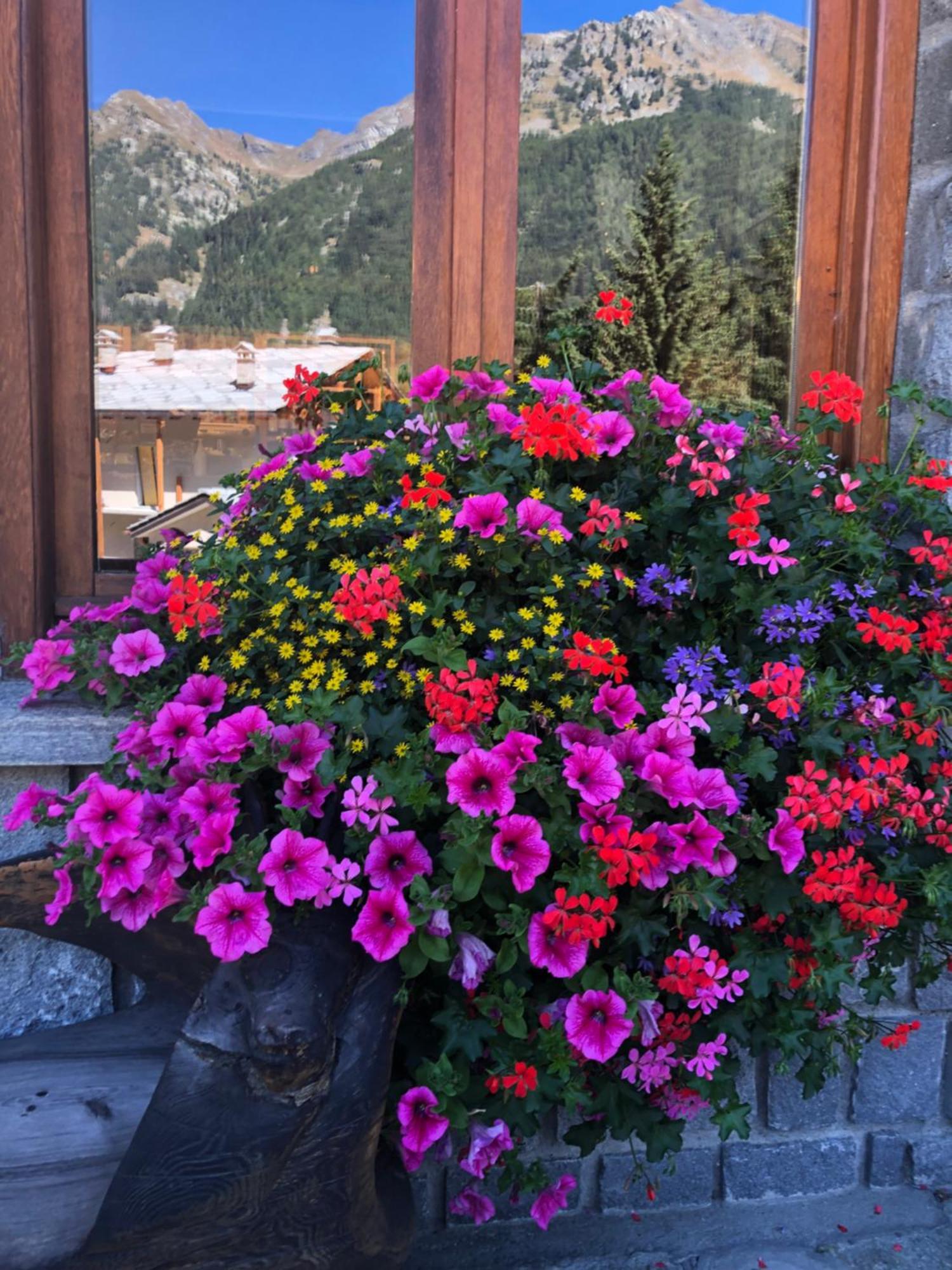 Hotel Flora Alpina Gressoney-Saint-Jean Eksteriør bilde